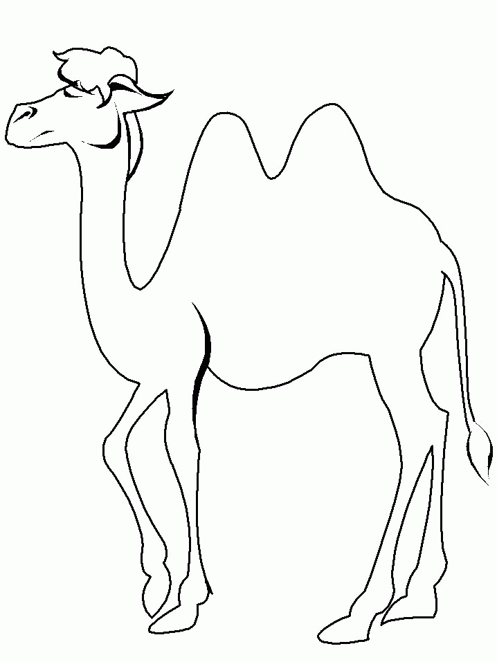 Malvorlage: Kamel (Tiere) #1674 - Kostenlose Malvorlagen zum Ausdrucken