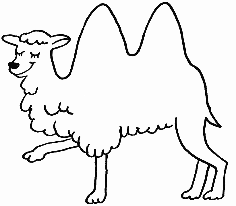 Malvorlage: Kamel (Tiere) #1675 - Kostenlose Malvorlagen zum Ausdrucken