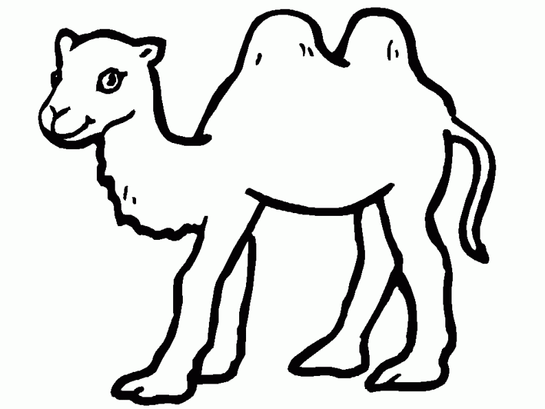 Malvorlage: Kamel (Tiere) #1681 - Kostenlose Malvorlagen zum Ausdrucken