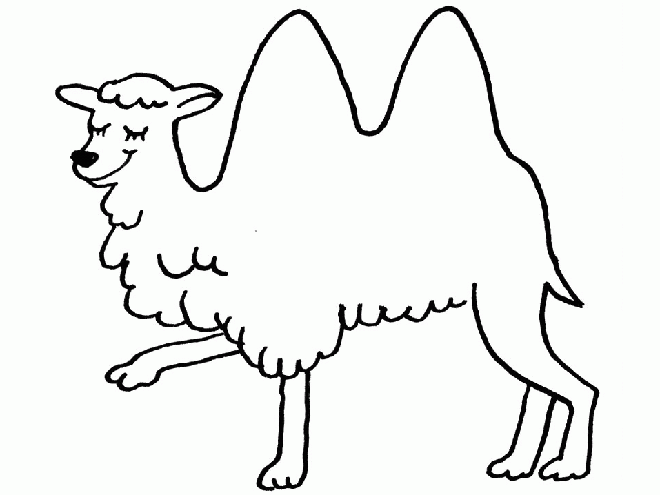 Malvorlage: Kamel (Tiere) #1683 - Kostenlose Malvorlagen zum Ausdrucken