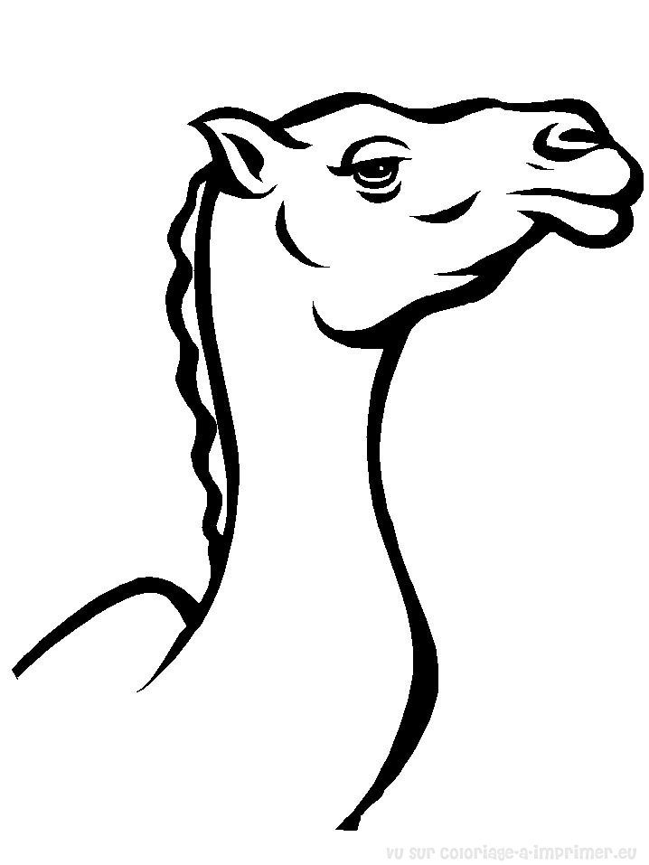 Malvorlage: Kamel (Tiere) #1685 - Kostenlose Malvorlagen zum Ausdrucken