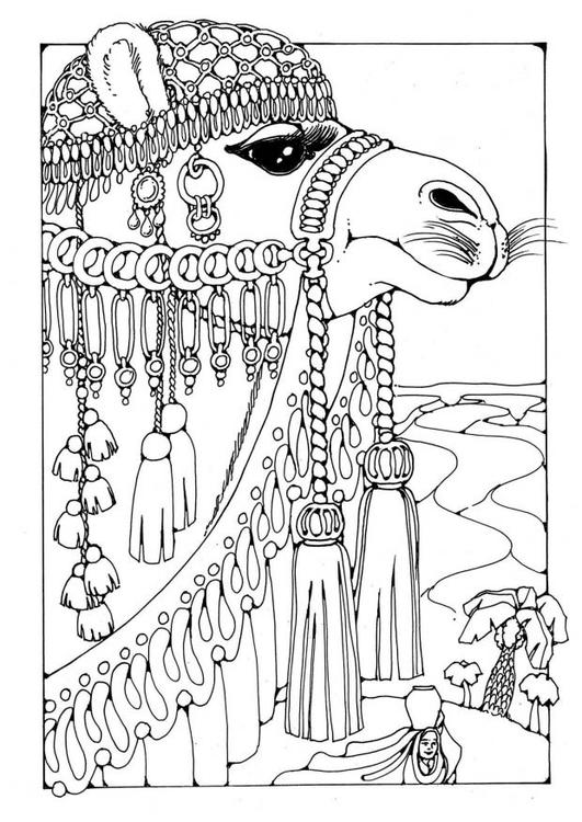Malvorlage: Kamel (Tiere) #1694 - Kostenlose Malvorlagen zum Ausdrucken