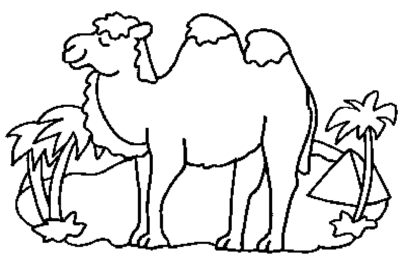 Malvorlage: Kamel (Tiere) #1697 - Kostenlose Malvorlagen zum Ausdrucken