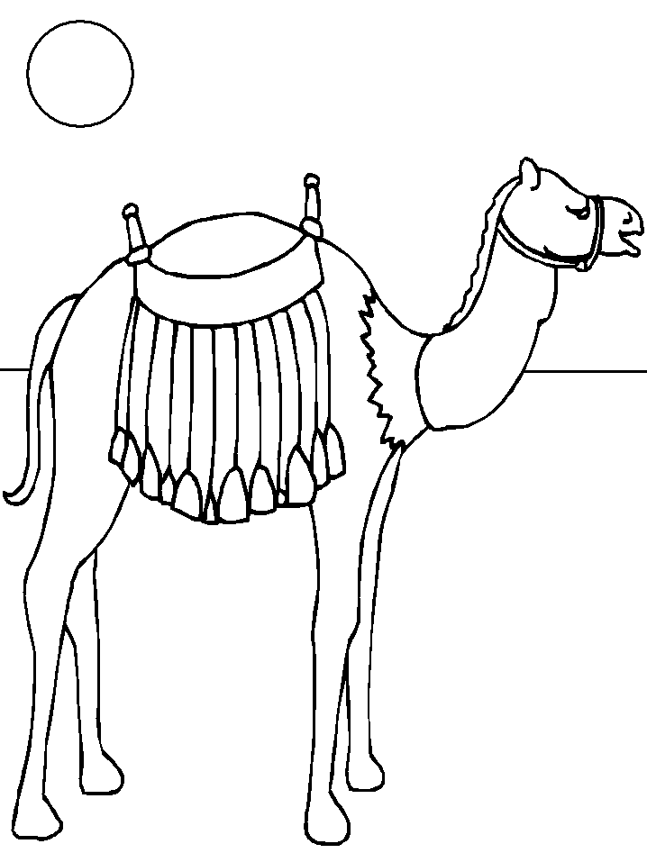 Malvorlage: Kamel (Tiere) #1699 - Kostenlose Malvorlagen zum Ausdrucken