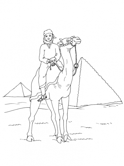 Malvorlage: Kamel (Tiere) #1713 - Kostenlose Malvorlagen zum Ausdrucken