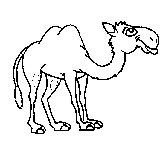 Malvorlage: Kamel (Tiere) #1719 - Kostenlose Malvorlagen zum Ausdrucken