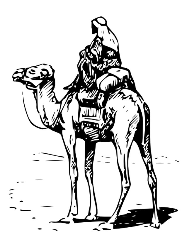 Malvorlage: Kamel (Tiere) #1729 - Kostenlose Malvorlagen zum Ausdrucken