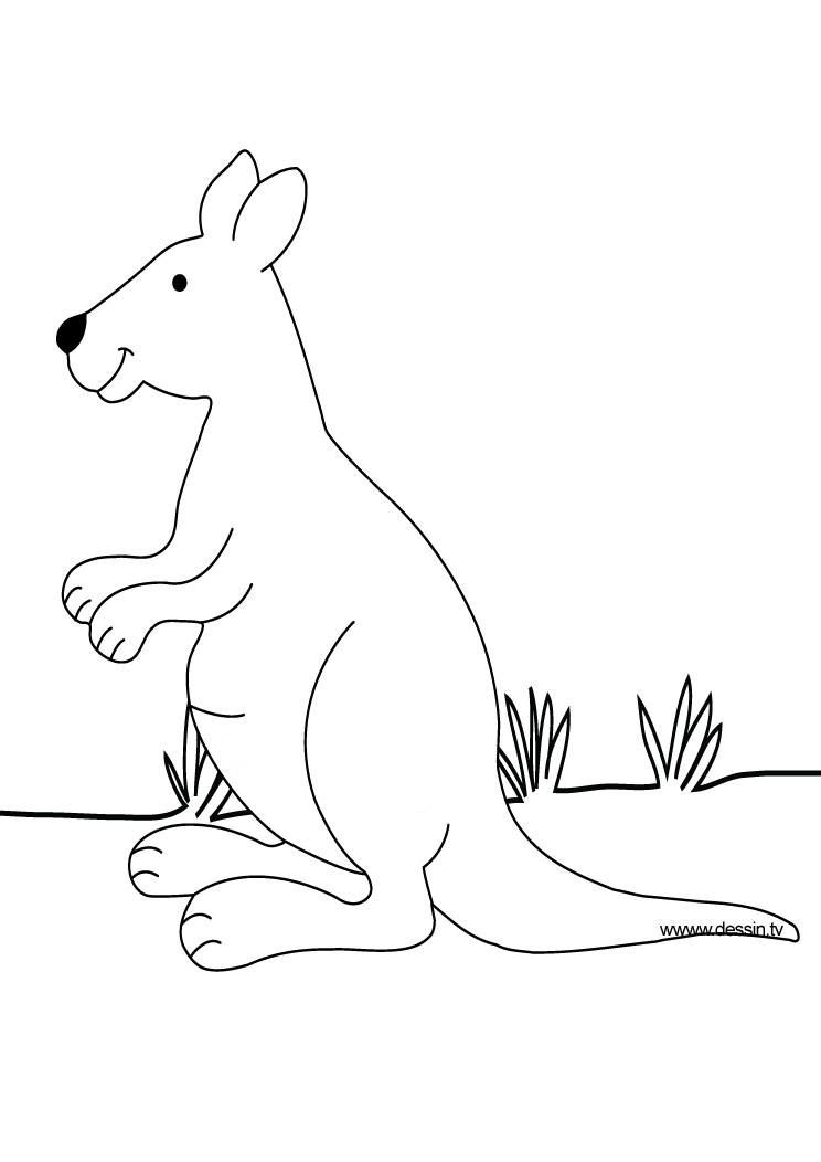 Malvorlage: Känguru (Tiere) #9106 - Kostenlose Malvorlagen zum Ausdrucken