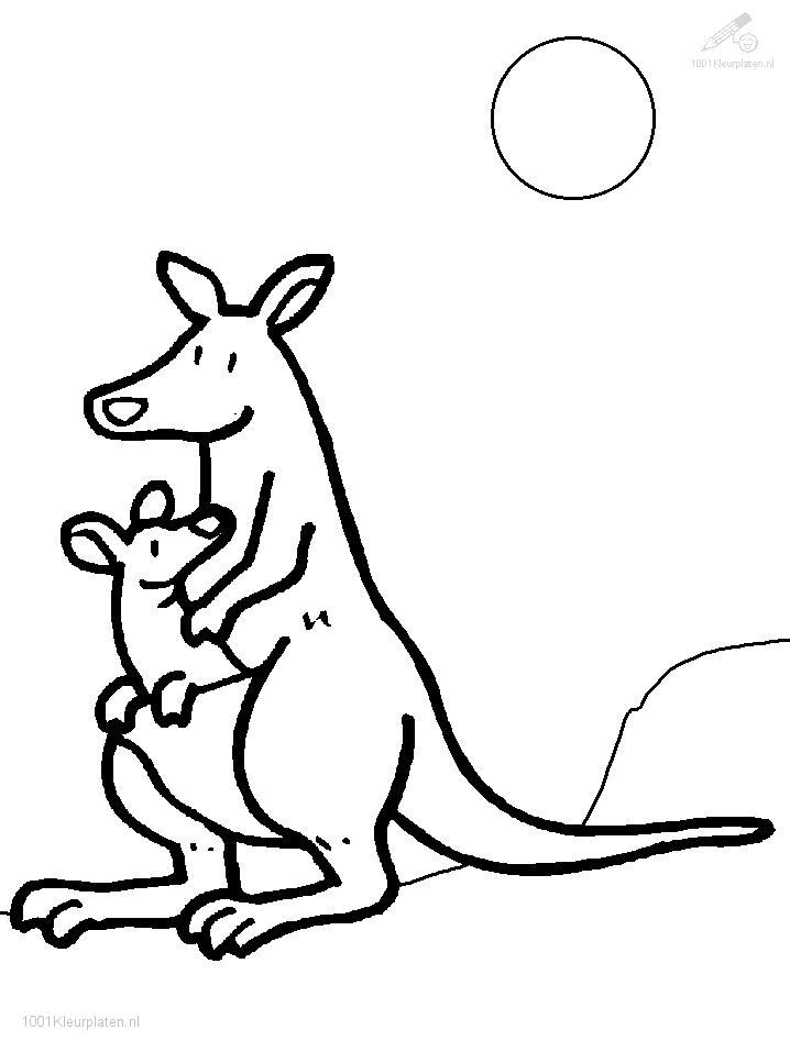 Malvorlage: Känguru (Tiere) #9107 - Kostenlose Malvorlagen zum Ausdrucken