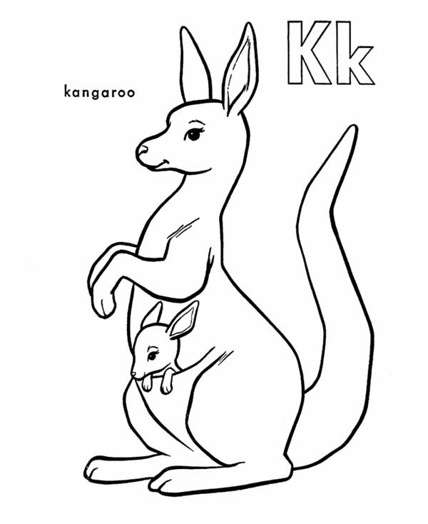 Malvorlage: Känguru (Tiere) #9122 - Kostenlose Malvorlagen zum Ausdrucken