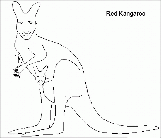 Malvorlage: Känguru (Tiere) #9123 - Kostenlose Malvorlagen zum Ausdrucken