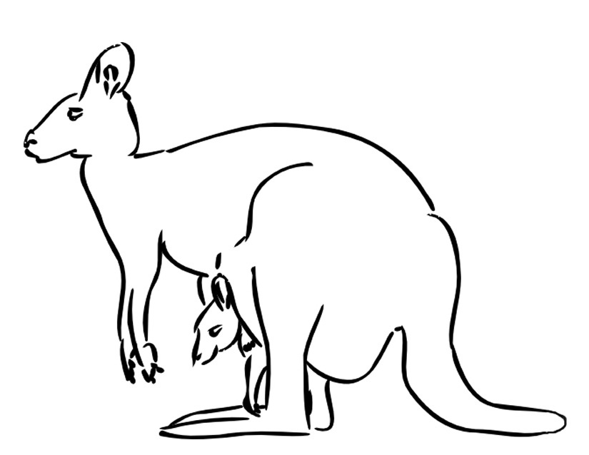 Malvorlage: Känguru (Tiere) #9130 - Kostenlose Malvorlagen zum Ausdrucken