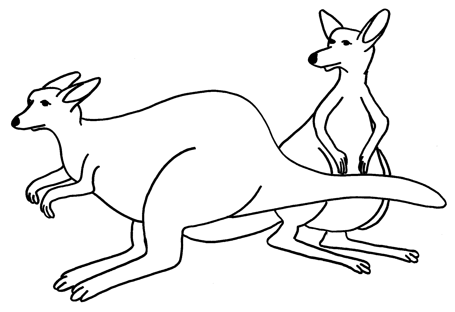 Malvorlage: Känguru (Tiere) #9136 - Kostenlose Malvorlagen zum Ausdrucken