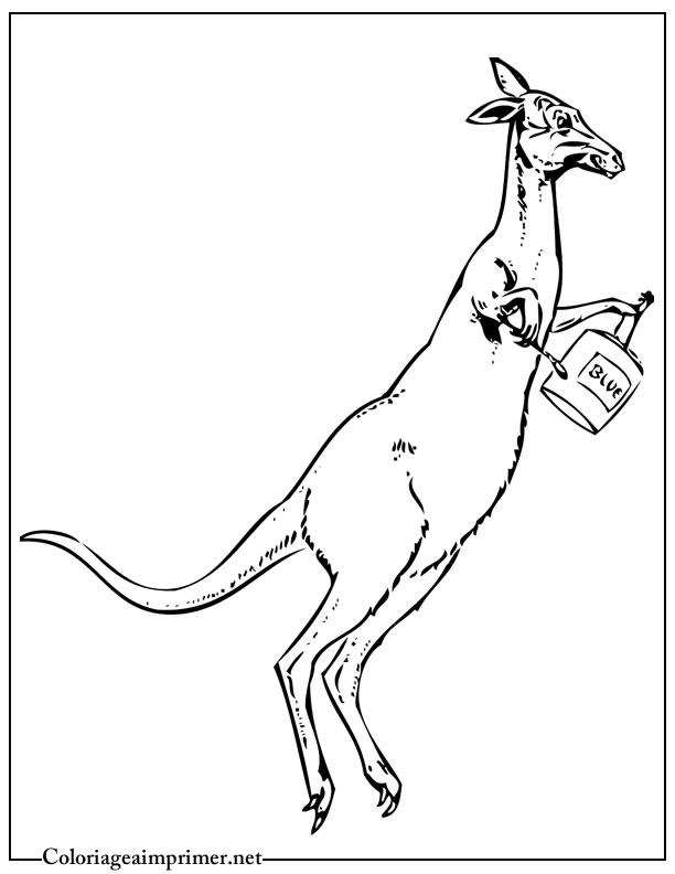 Malvorlage: Känguru (Tiere) #9175 - Kostenlose Malvorlagen zum Ausdrucken