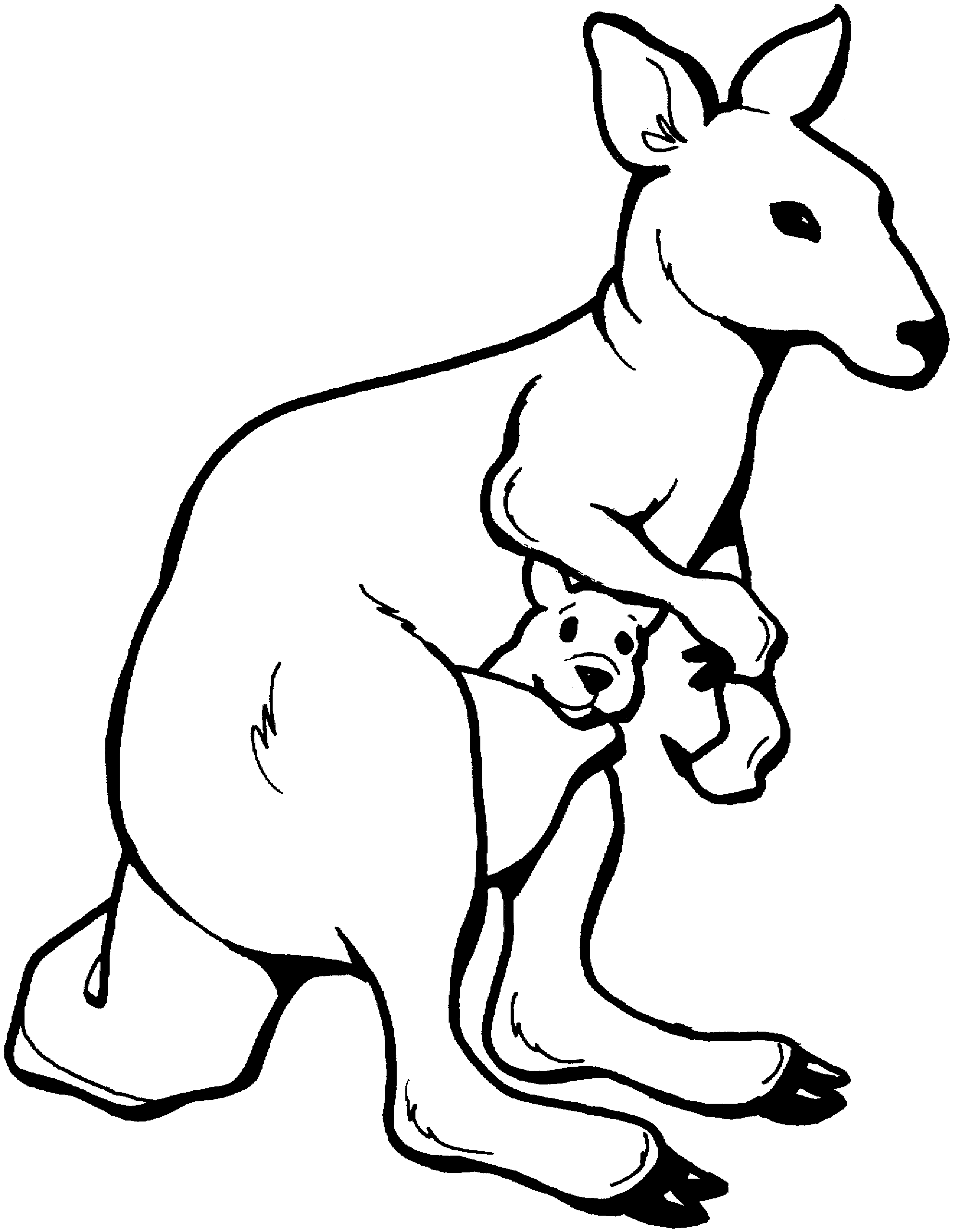 Malvorlage: Känguru (Tiere) #9195 - Kostenlose Malvorlagen zum Ausdrucken