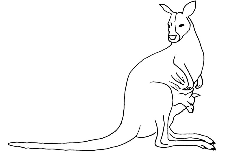 Malvorlage: Känguru (Tiere) #9250 - Kostenlose Malvorlagen zum Ausdrucken