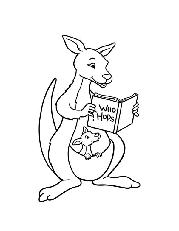 Malvorlage: Känguru (Tiere) #9255 - Kostenlose Malvorlagen zum Ausdrucken