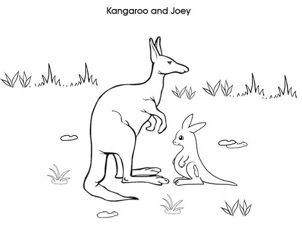 Malvorlage: Känguru (Tiere) #9276 - Kostenlose Malvorlagen zum Ausdrucken