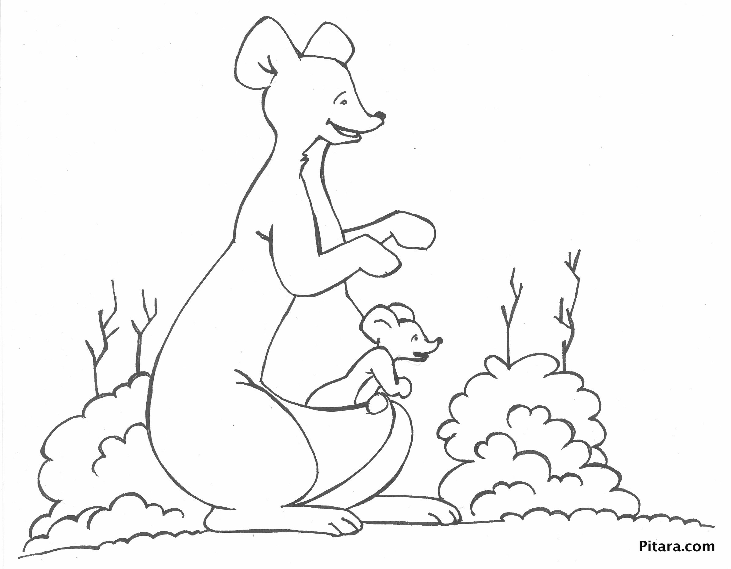 Malvorlage: Känguru (Tiere) #9283 - Kostenlose Malvorlagen zum Ausdrucken
