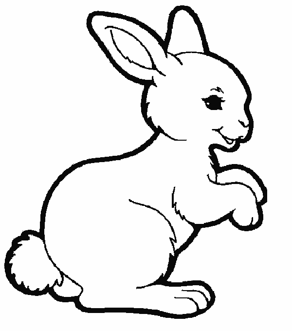 Malvorlage: Kaninchen (Tiere) #9505 - Kostenlose Malvorlagen zum Ausdrucken