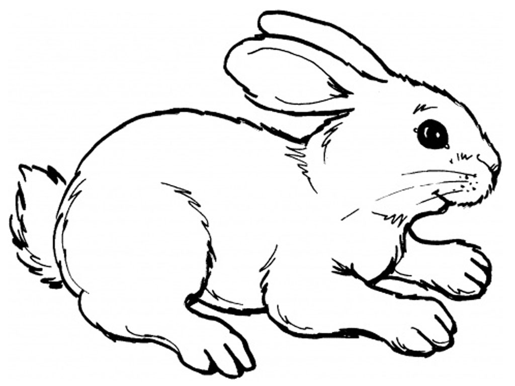 Malvorlage: Kaninchen (Tiere) #9507 - Kostenlose Malvorlagen zum Ausdrucken