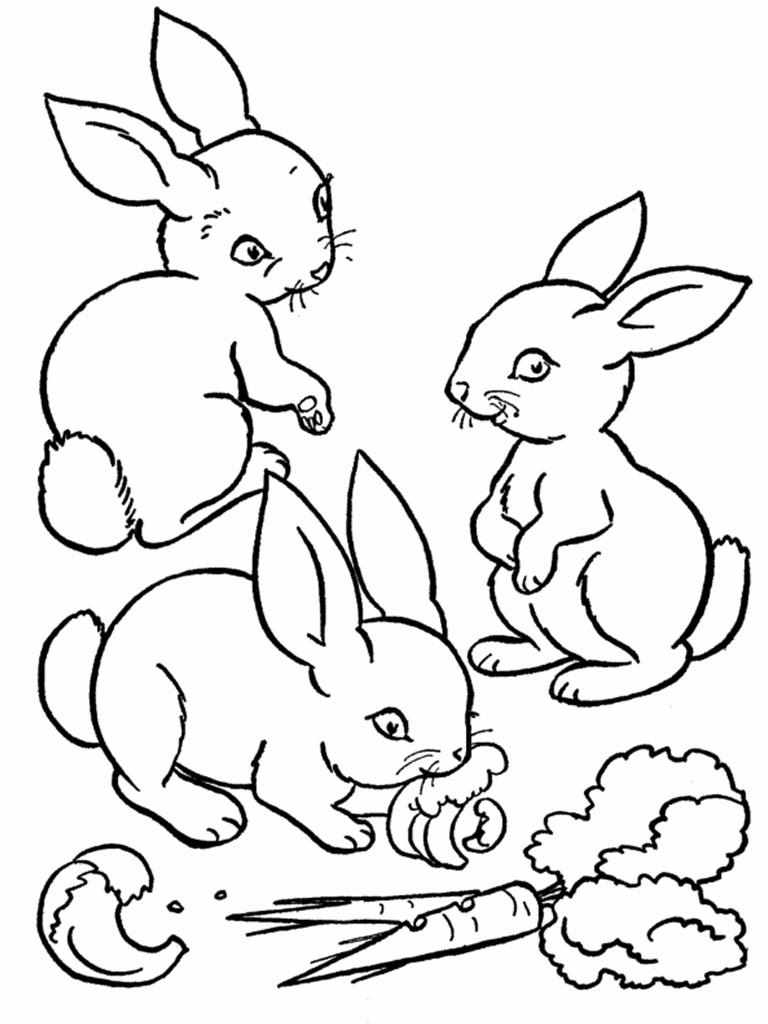 Malvorlage: Kaninchen (Tiere) #9522 - Kostenlose Malvorlagen zum Ausdrucken