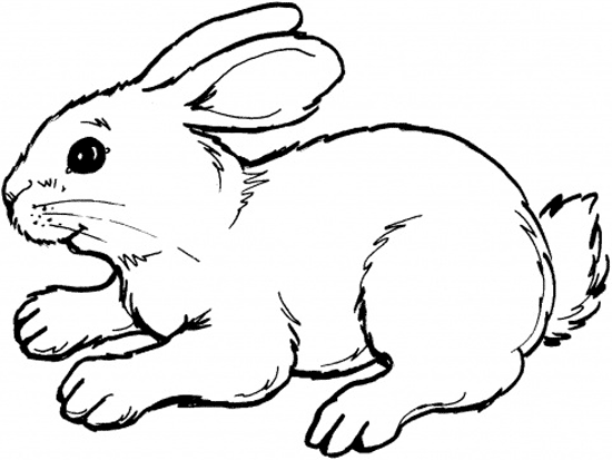 Malvorlage: Kaninchen (Tiere) #9526 - Kostenlose Malvorlagen zum Ausdrucken