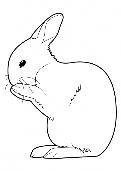 Malvorlage: Kaninchen (Tiere) #9554 - Kostenlose Malvorlagen zum Ausdrucken