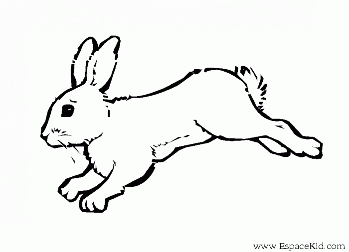 Malvorlage: Kaninchen (Tiere) #9560 - Kostenlose Malvorlagen zum Ausdrucken