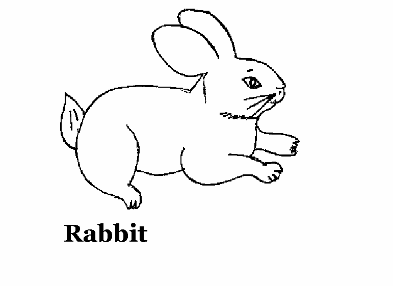 Malvorlage: Kaninchen (Tiere) #9587 - Kostenlose Malvorlagen zum Ausdrucken