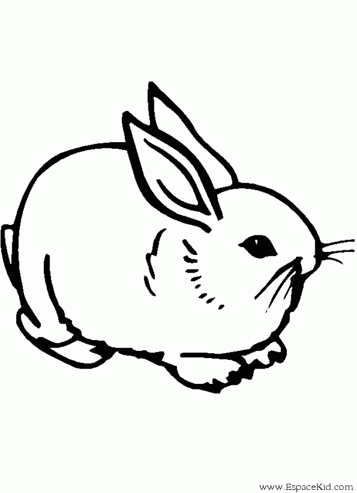 Malvorlage: Kaninchen (Tiere) #9610 - Kostenlose Malvorlagen zum Ausdrucken