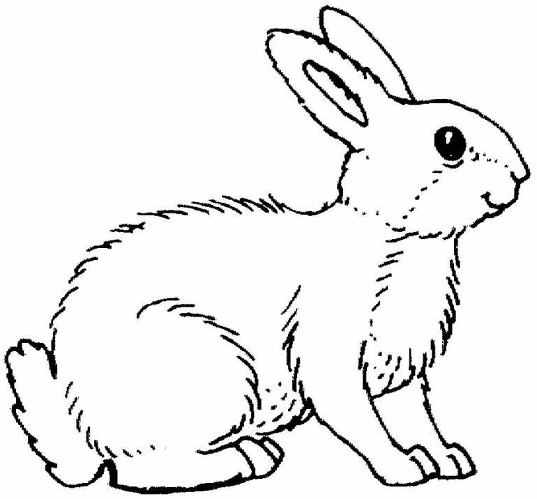 Malvorlage: Kaninchen (Tiere) #9689 - Kostenlose Malvorlagen zum Ausdrucken
