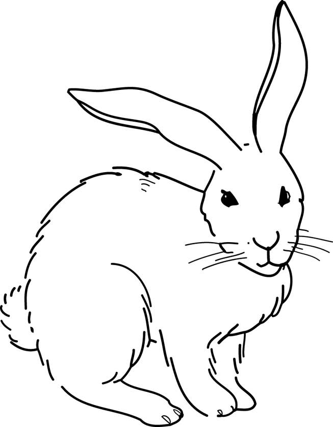 Malvorlage: Kaninchen (Tiere) #9694 - Kostenlose Malvorlagen zum Ausdrucken