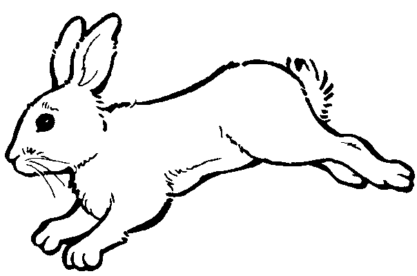 Malvorlage: Kaninchen (Tiere) #9702 - Kostenlose Malvorlagen zum Ausdrucken
