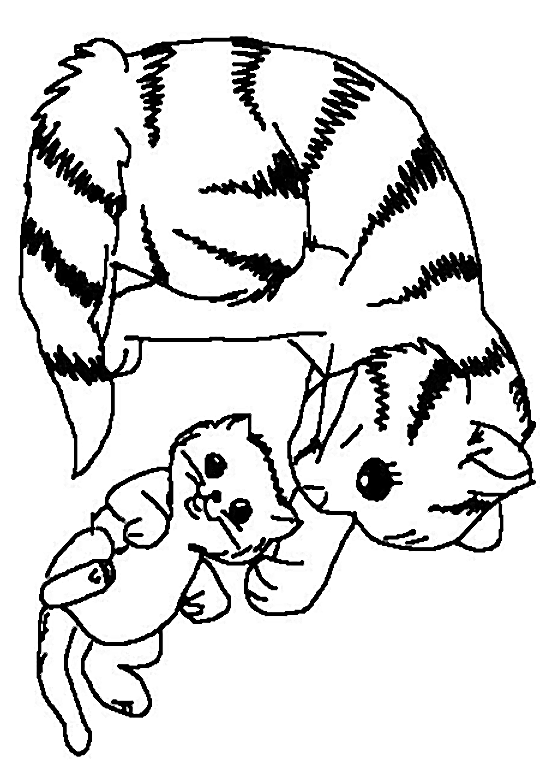 Malvorlage: Kätzchen (Tiere) #18065 - Kostenlose Malvorlagen zum Ausdrucken