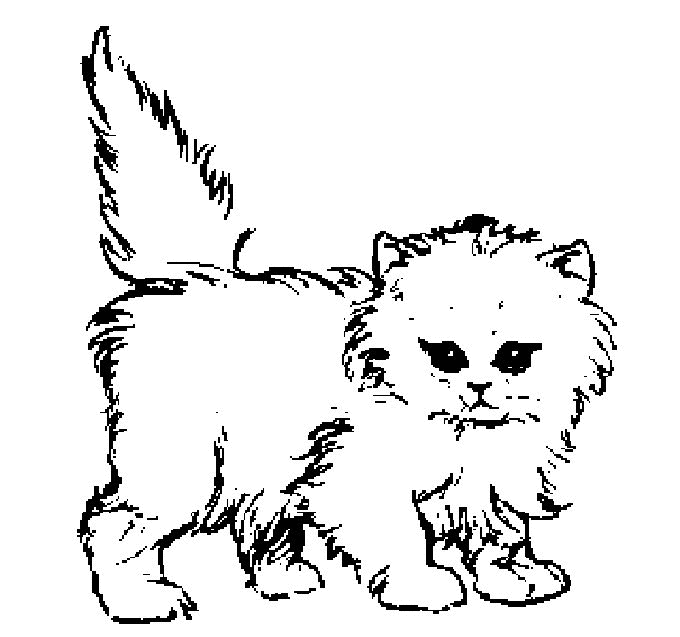 Malvorlage: Katze (Tiere) #1770 - Kostenlose Malvorlagen zum Ausdrucken