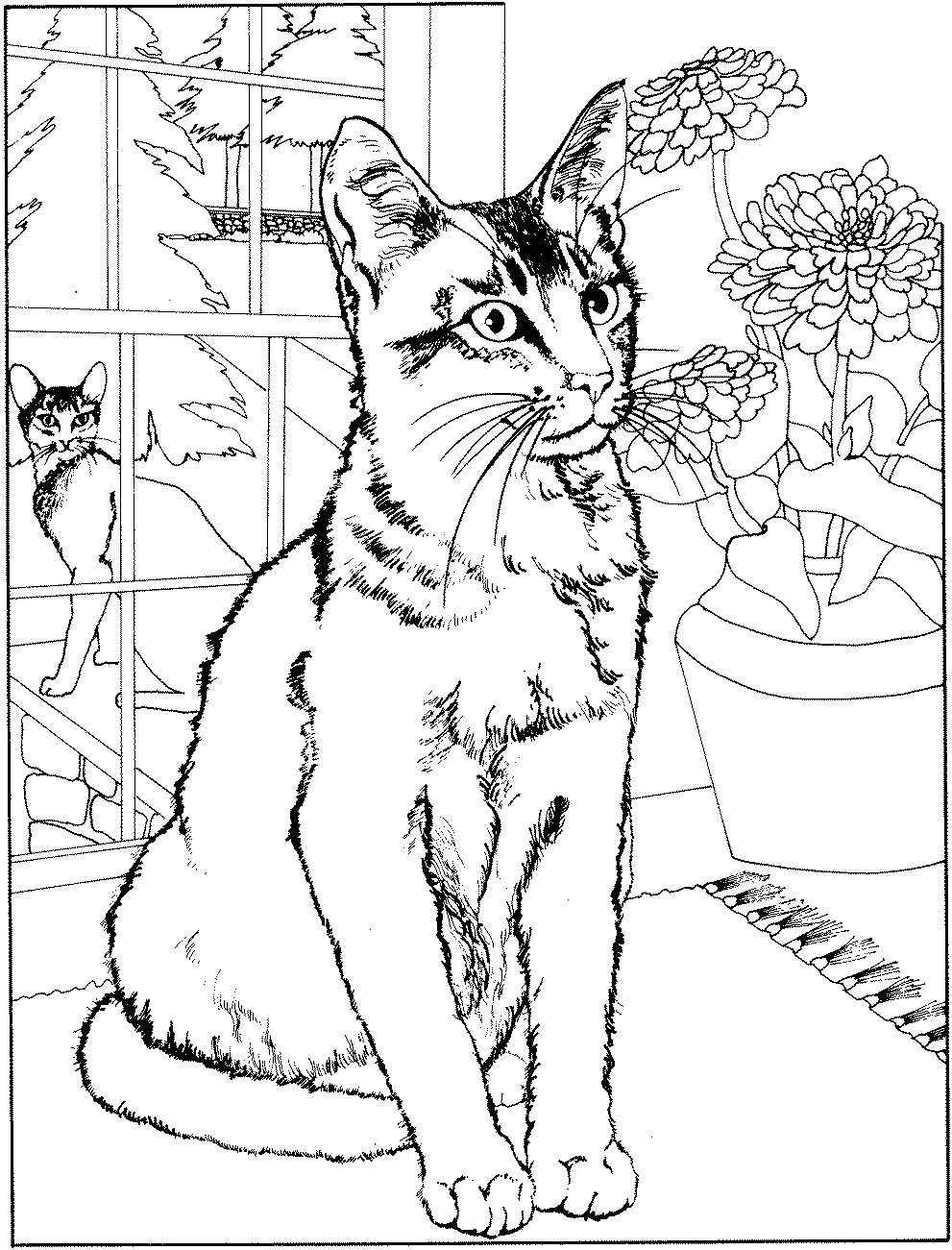 Malvorlage: Katze (Tiere) #1772 - Kostenlose Malvorlagen zum Ausdrucken