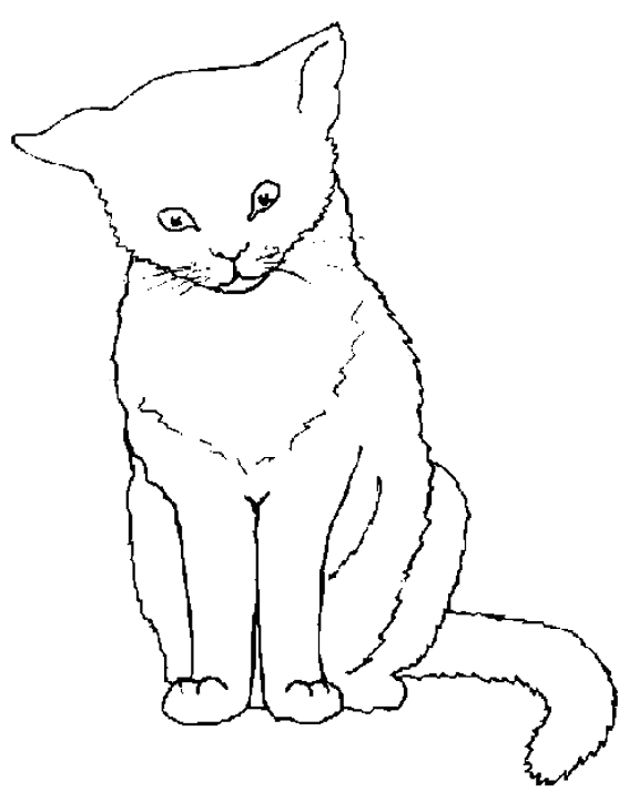 Malvorlage: Katze (Tiere) #1783 - Kostenlose Malvorlagen zum Ausdrucken