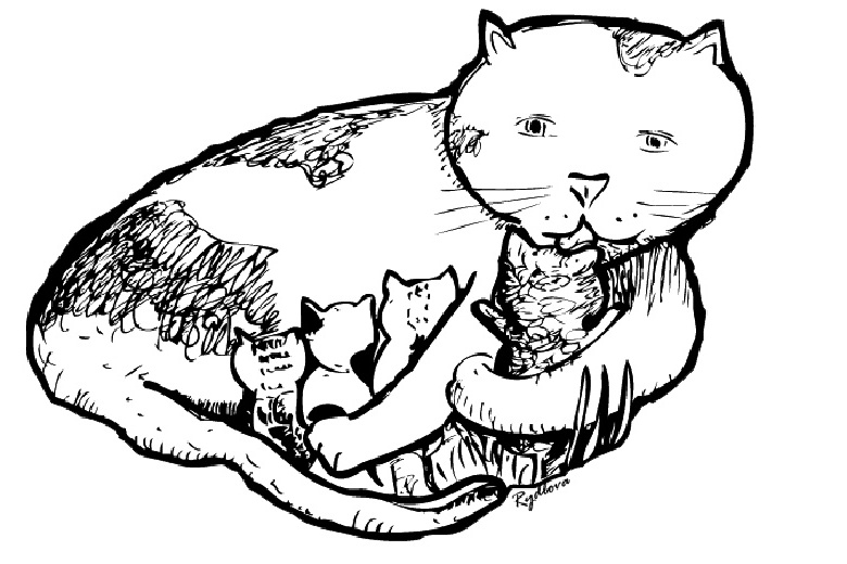 Malvorlage: Katze (Tiere) #1821 - Kostenlose Malvorlagen zum Ausdrucken