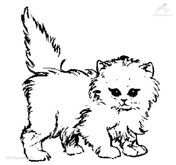 Malvorlage: Katze (Tiere) #1832 - Kostenlose Malvorlagen zum Ausdrucken