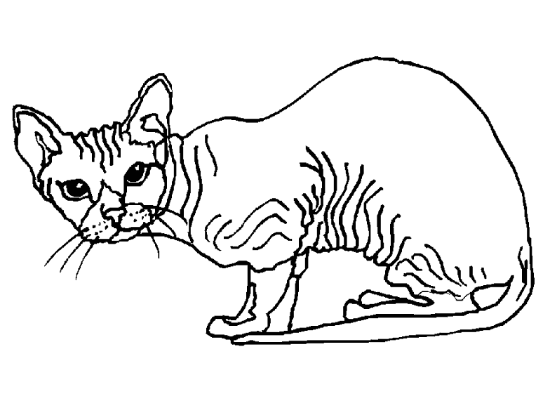 Malvorlage: Katze (Tiere) #1841 - Kostenlose Malvorlagen zum Ausdrucken