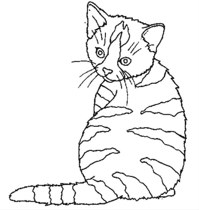 Malvorlage: Katze (Tiere) #1843 - Kostenlose Malvorlagen zum Ausdrucken