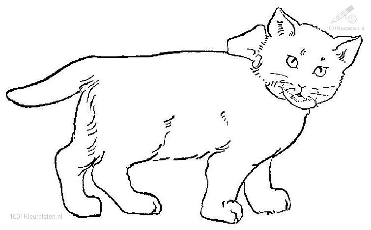 Malvorlage: Katze (Tiere) #1882 - Kostenlose Malvorlagen zum Ausdrucken