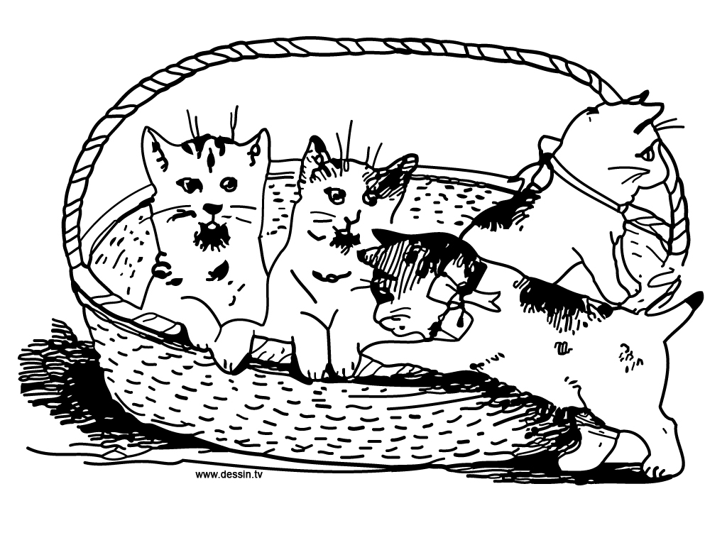Malvorlage: Katze (Tiere) #1901 - Kostenlose Malvorlagen zum Ausdrucken