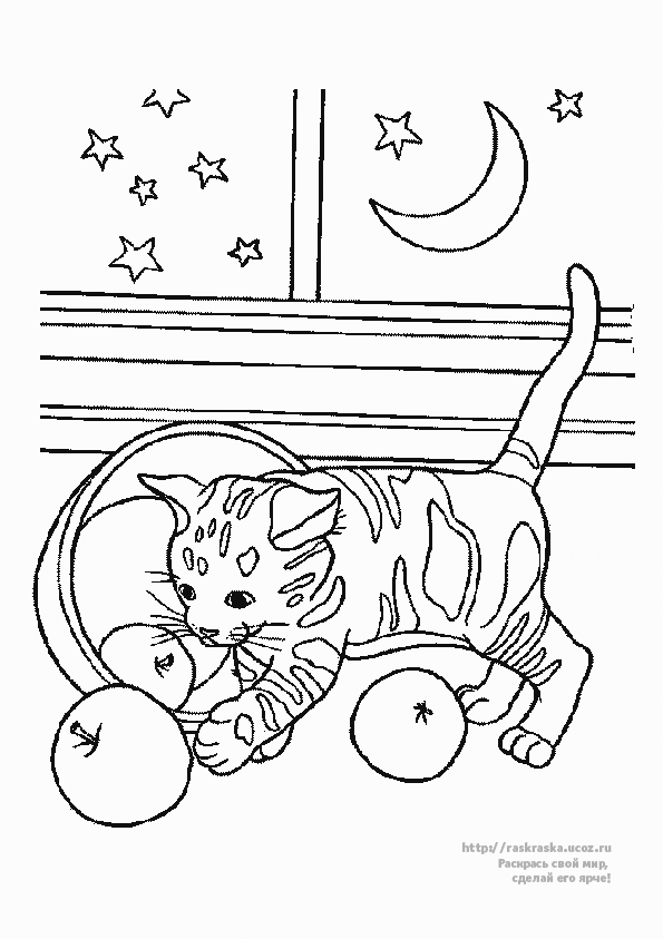 Malvorlage: Katze (Tiere) #1946 - Kostenlose Malvorlagen zum Ausdrucken