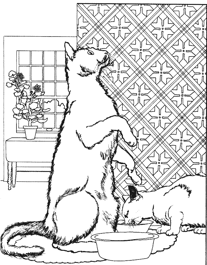 Malvorlage: Katze (Tiere) #1947 - Kostenlose Malvorlagen zum Ausdrucken