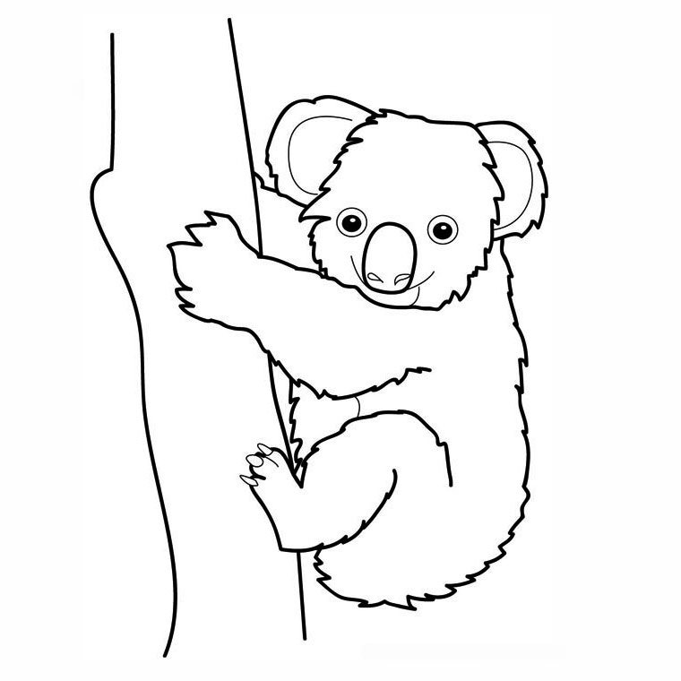 Malvorlage: Koala (Tiere) #9300 - Kostenlose Malvorlagen zum Ausdrucken