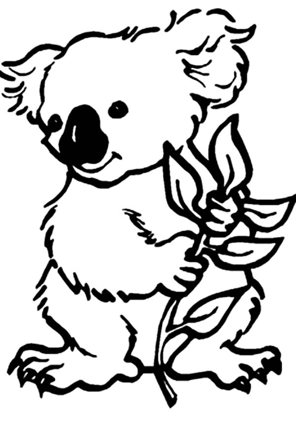 Malvorlage: Koala (Tiere) #9309 - Kostenlose Malvorlagen zum Ausdrucken
