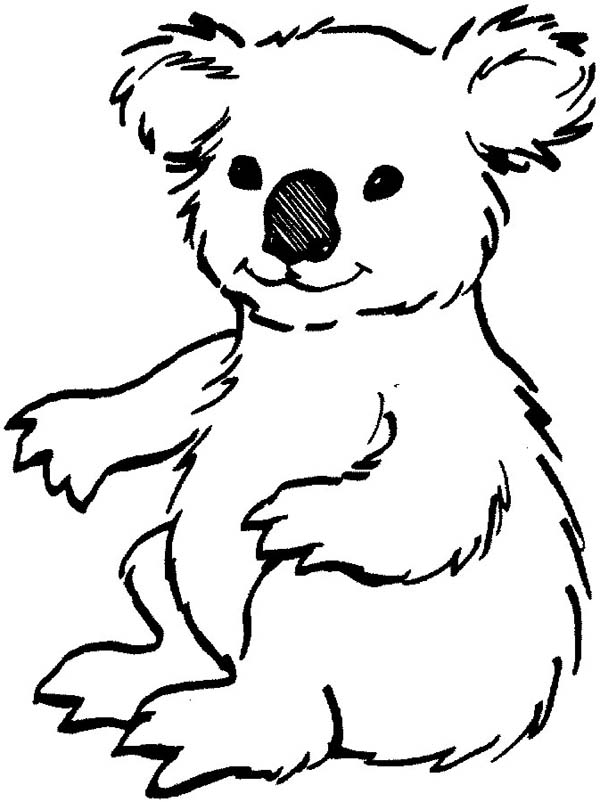Malvorlage: Koala (Tiere) #9311 - Kostenlose Malvorlagen zum Ausdrucken