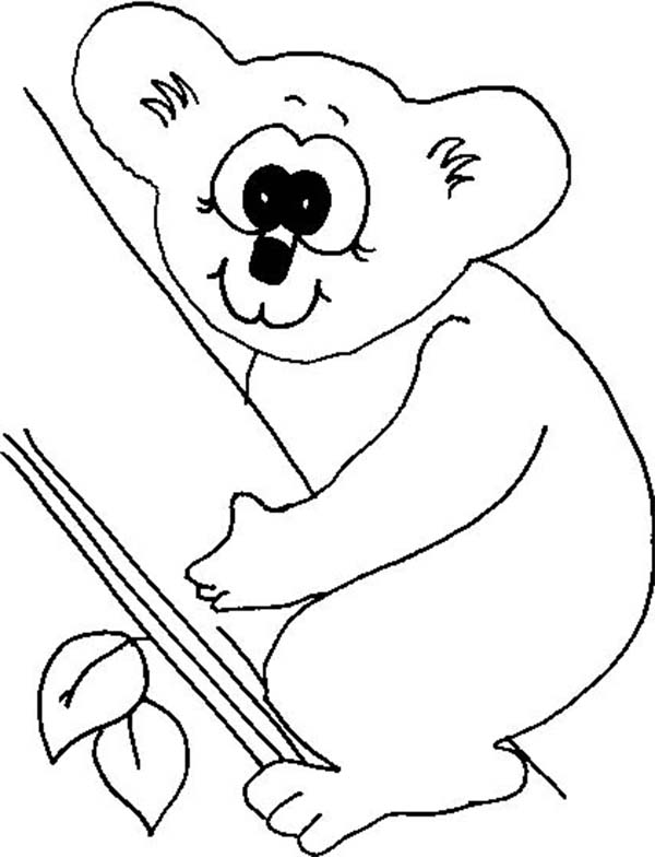 Malvorlage: Koala (Tiere) #9393 - Kostenlose Malvorlagen zum Ausdrucken